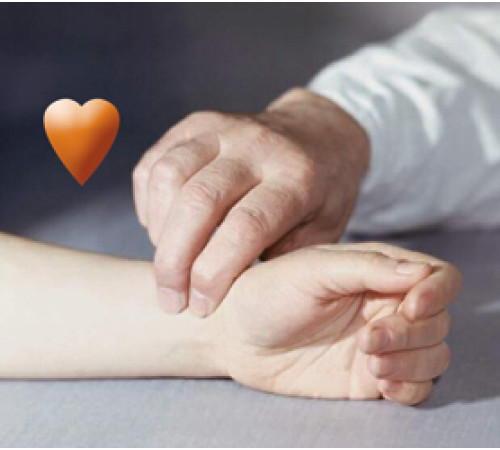 Беговая дорожка HORIZON OMEGA Z