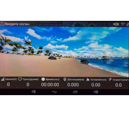 Беговая дорожка Titanium Masters Physiotech A460 TFT