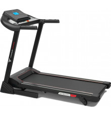 Беговая дорожка Titanium Masters Physiotech TBM
