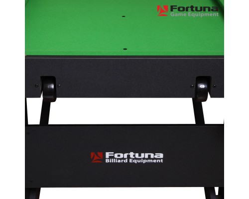 Бильярдный стол Fortuna Hobby BF-530S Cнукер 5фт с комплектом аксессуаров