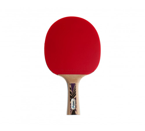 Ракетка DONIC LEGENDS 800